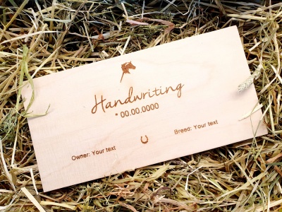 en_handwriting_472005885