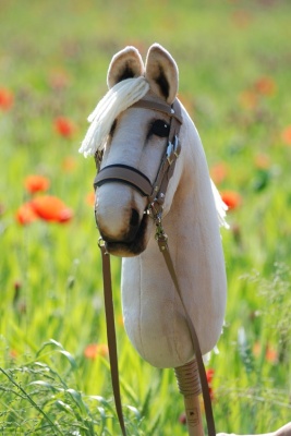 hobby_horse_amber1