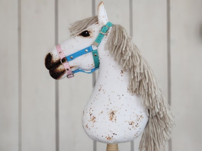 hobby_horse_halfter_tricolor