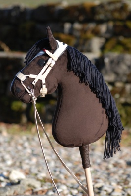 jumper1