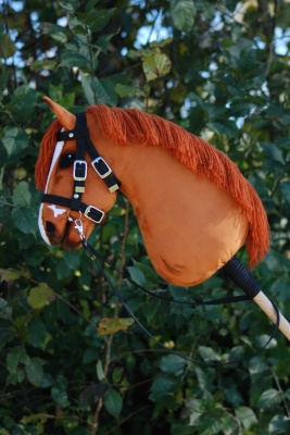pumpkin1_1767996428