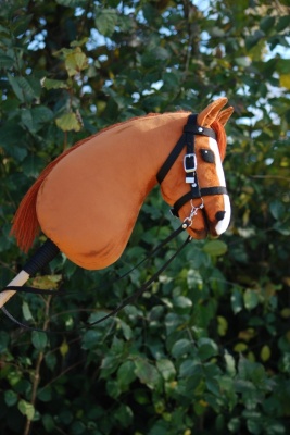 pumpkin3_101742439