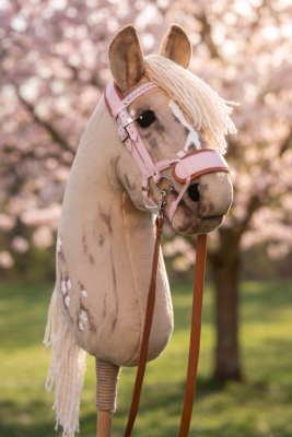 sakura6