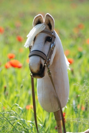 hobby_horse_amber1